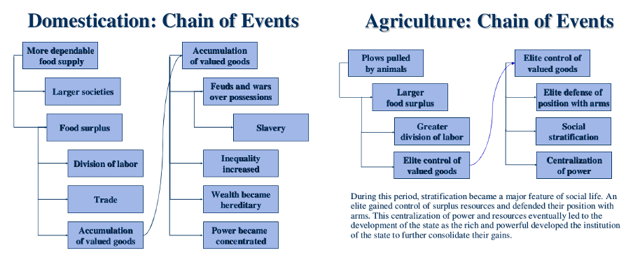 a diagram showing the development of domestication and agriculture